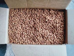 Almond nuts photos 7 (1)