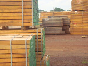 Sawn Timber_2