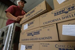 california Almond nuts12