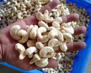 cashew nuts7