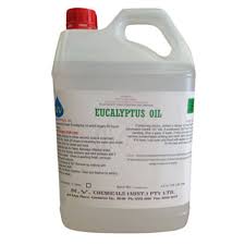 eucalyptus oil2