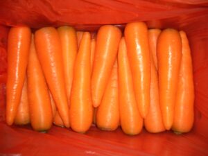 fresh carrots1