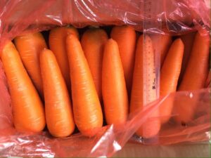 fresh carrots2