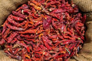red dry chilli2
