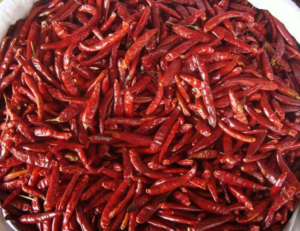 red dry chilli6