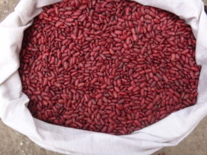 red kidney beans1