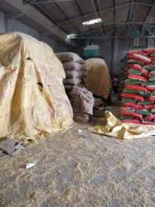 soybeans in bags3