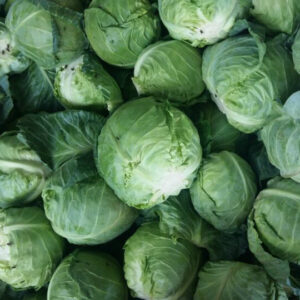 cabbage2