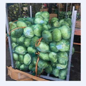 cabbages1